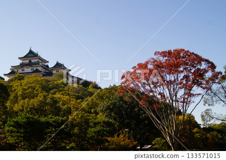 城堡塔樓在秋葉的映襯下格外醒目。 133571015