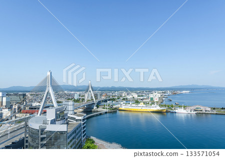 青森縣青森市：晴朗天氣下的青函渡輪八甲田丸及其周圍的城市景觀 133571054