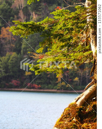 Suganuma in Nikko National Park Suganuma in Nikko National Park 133571062