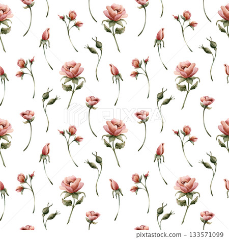 Roses buds seamless pattern on white background. Dusty pink garden Victorian flower. Watercolor hand painted floral illustration for wedding design home textile fabric cosmetic package wrapping paper Roses buds seamless pattern on white background. Dusty pink garden Victorian flower. Watercolor hand painted floral illustration for wedding design home textile fabric cosmetic package wrapping paper 133571099