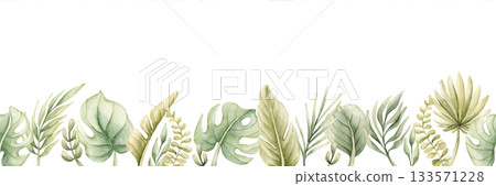 Monstera Palm Leaves seamless border. Tropical Exotic green plants. Watercolor hand painted summer pastel neutral isolated illustration on white background for nursery kids baby safari design package Monstera Palm Leaves seamless border. Tropical Exotic green plants. Watercolor hand painted summer pastel neutral isolated illustration on white background for nursery kids baby safari design package 133571228