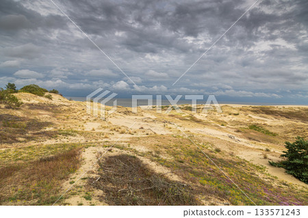 Curonian Spit National Park. Zelenogradsk, Kaliningrad Oblast, Russia. 133571243