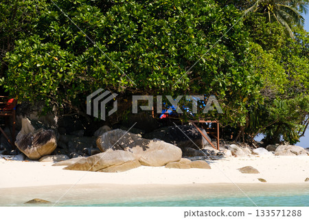 Serene beach scene with lush greenery and smooth stones near crystal clear water during a sunny day Serene beach scene with lush greenery and smooth stones near crystal clear water during a sunny day 133571288