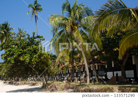 Tropical beach resort with palm trees and peaceful cabins by the shore under clear blue skies during daytime. Long Beach, Malaysia 133571290