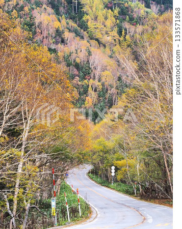 120號國道開往錦西峠方向 133571868