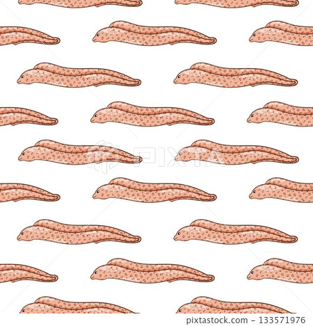 Muraena, moray seamless pattern in cartoon style. Design for card, cloth print on a white background. Muraena, moray seamless pattern in cartoon style. Design for card, cloth print on a white background. 133571976