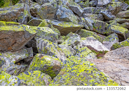Bright moss-covered alpine boulders in rocky mountain field 133572062