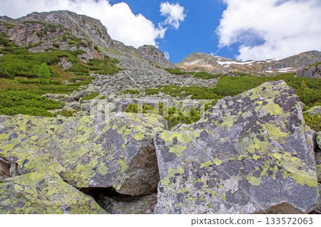 Alpine talus slope with scattered boulders and green vegetation Alpine talus slope with scattered boulders and green vegetation 133572063