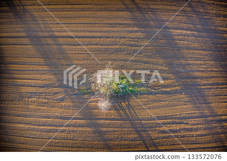 Aerial view of isolated tree patch in plowed farmland 133572076