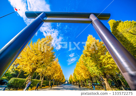 日本東京的都市景觀。在那片天空之上……我們永遠不該忘記那一天的悲劇。 = 11月21日,靖國神社 日本東京的都市景觀。在那片天空之上……我們永遠不該忘記那一天的悲劇。 = 11月21日,靖國神社 133572275