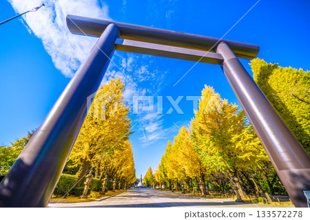 日本東京的都市景觀。在那片天空之上……我們永遠不該忘記那一天的悲劇。 = 11月21日,靖國神社 日本東京的都市景觀。在那片天空之上……我們永遠不該忘記那一天的悲劇。 = 11月21日,靖國神社 133572278