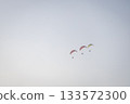 Brightly colored paramotors fly in tight groups across a clear, calm sky during a daytime adventure. 133572300
