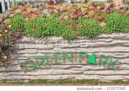 Green Park, the largest park in the city in Wakamatsu-ku, Kitakyushu 133572565