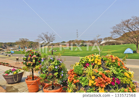 北九州市響灘綠園,一個花開的綠色公園 北九州市響灘綠園,一個花開的綠色公園 133572568