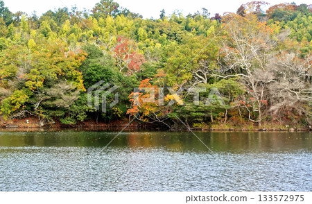 初秋的風從遠處的伊佩基湖吹來。 初秋的風從遠處的伊佩基湖吹來。 133572975