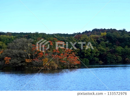 初秋的風從遠處的伊佩基湖吹來。 133572976