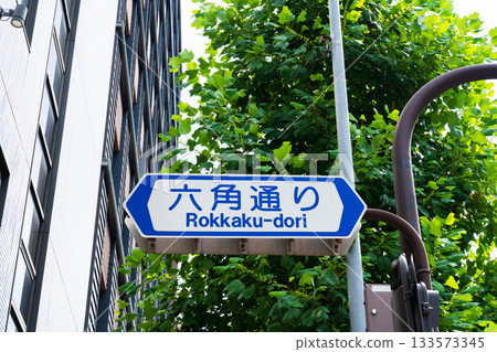 Rokkaku-dori Street, East-West Street, Kyoto City Rokkaku-dori Street, East-West Street, Kyoto City 133573345