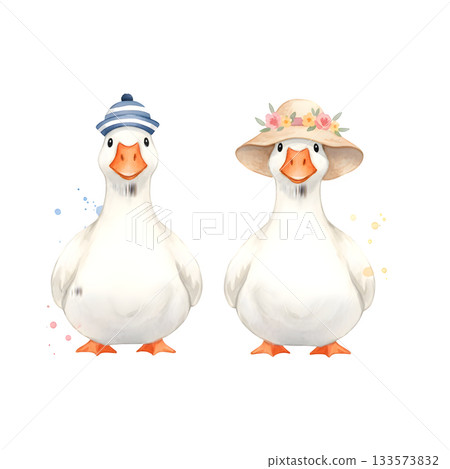 Two white cute geese in headdresses, watercolor isolated illustration for your design Two white cute geese in headdresses, watercolor isolated illustration for your design 133573832