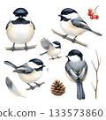 Set of cute abstract birds, watercolor isolated illustration fantasy characters for your cartoon desi 133573860