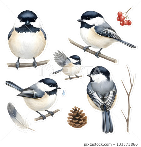 Set of cute abstract birds, watercolor isolated illustration fantasy characters for your cartoon desi 133573860