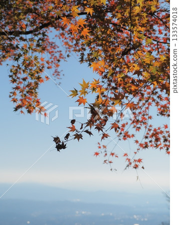 A mountain at the peak of autumn leaves 133574018