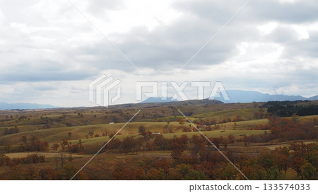 Grassland where autumn leaves have begun to fall Grassland where autumn leaves have begun to fall 133574033