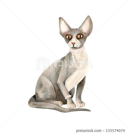 Sphinx hairless cat with pearl necklace, bracelet on a paw. Domestic bald skin sphynx pet with jewel, accessories. Cute luxurious animal, grey kitty. Watercolor isolated illustration, character 133574074