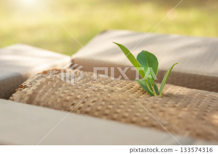 Green leaf on eco friendly brown paper honeycomb wrap for product packaging parcel carton box Green leaf on eco friendly brown paper honeycomb wrap for product packaging parcel carton box 133574316