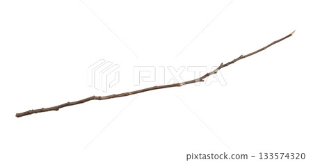 Dry tree branches isolated on white background 133574320