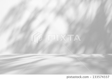 Abstract white studio room with light and shadow from window and tree leaves background for product display presentation Abstract white studio room with light and shadow from window and tree leaves background for product display presentation 133574337
