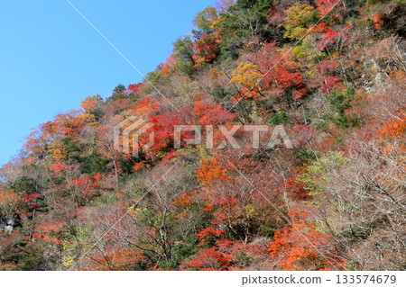 貝富峽（高知縣神市）的絢麗秋景 133574679