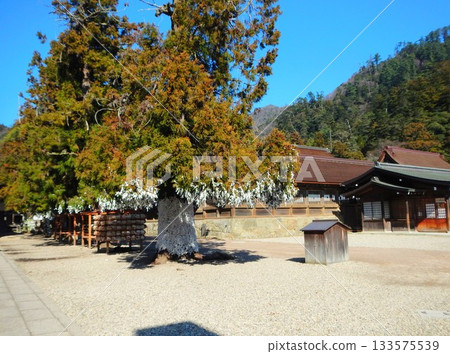 島根縣出雲大社 1 島根縣出雲大社 1 133575539