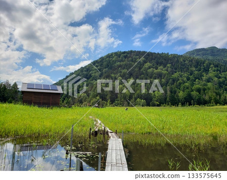 Pier and nature Pier and nature 133575645