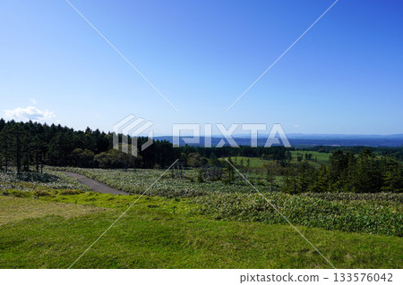 View from Bihoro Pass (opposite Lake Kussharo) View from Bihoro Pass (opposite Lake Kussharo) 133576042