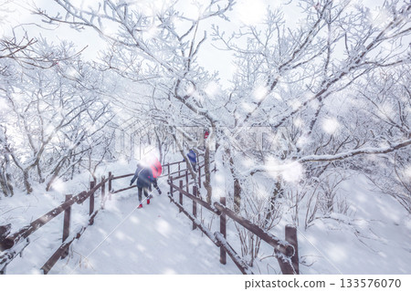 Korean Winter On a snowy day atop Deogyusan Mountain at Deogyusan National Park near Muju, South Korea. 133576070