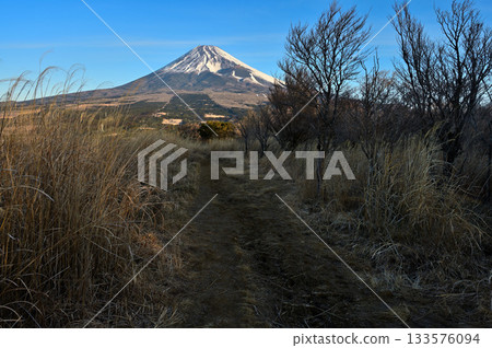 Mount Echizen in the Ashitaka Mountains: Mount Fuji seen from the morning mountain path Mount Echizen in the Ashitaka Mountains: Mount Fuji seen from the morning mountain path 133576094