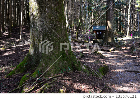 愛鷹山脈的越前岳、山神社的須山鷹登山口 133576121