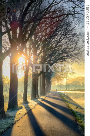 A Serene Winter Sunrise Creates a Magical Scene Over a Frosty Pathway Surrounded by Trees 133576393