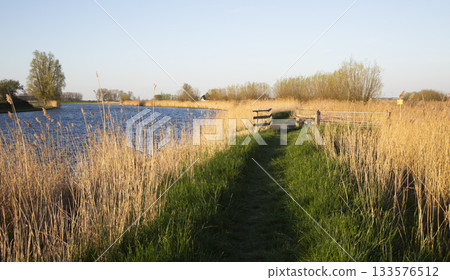 Explore the beautiful Clog trail along the Eem river in Wolkenberg nature reserve, Baarn, Netherlands 133576512