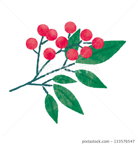 Watercolor illustration of nandina fruit and leaves (auspicious red fruit) Watercolor illustration of nandina fruit and leaves (auspicious red fruit) 133576547