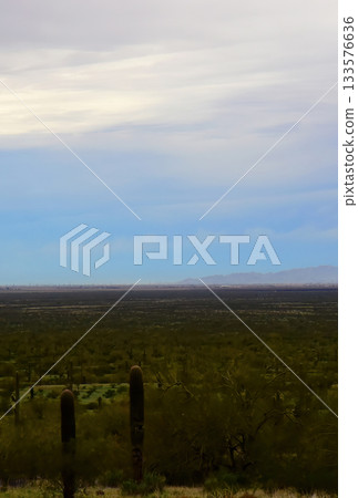 Sonoran Desert Arizona Picacho Peak State Park Sonoran Desert Arizona Picacho Peak State Park 133576636