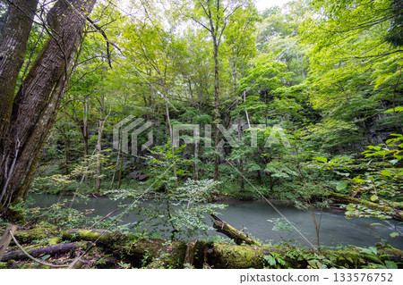 青森縣奧入瀨峽谷的清澈溪水和森林景色 青森縣奧入瀨峽谷的清澈溪水和森林景色 133576752