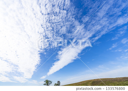秋日的天空、雲彩和草地 秋日的天空、雲彩和草地 133576800