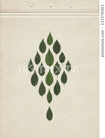 Minimalist natural composition featuring fresh green elm leaves arranged in a tree shape on a soft beige textured paper background, creating a botanical design with an organic handcrafted aesthetic. Minimalist natural composition featuring fresh green elm leaves arranged in a tree shape on a soft beige textured paper background, creating a botanical design with an organic handcrafted aesthetic. 133576903