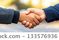Business professional shaking hands with solar energy executive in front of solar panels, symbolizing partnership in renewable energy finance 133576936