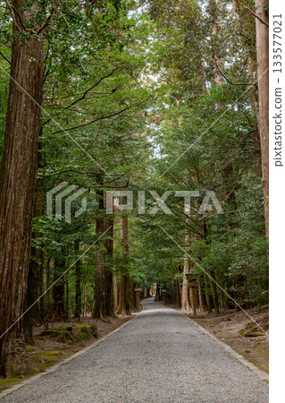 位於三重縣大岐町的瀧原神社（伊勢神宮的分社） 133577021