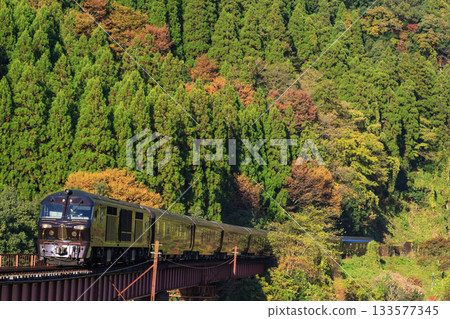 The cruise train "Seven Stars" (JR Kyushu) on the Kyudai Main Line begins to turn red. 133577345