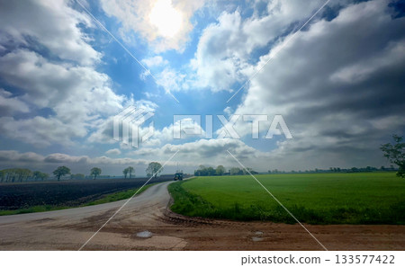A Serene and Picturesque Country Road Lined with Green Fields Under a Dramatic Sky 133577422