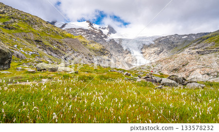 Mountain landscape with cottongrass meadow and Schlatenkees glacier on background. Hohe Zaun in Venediger Group, Hohe Tauern National Park, East Tyrol, Austria Mountain landscape with cottongrass meadow and Schlatenkees glacier on background. Hohe Zaun in Venediger Group, Hohe Tauern National Park, East Tyrol, Austria 133578232