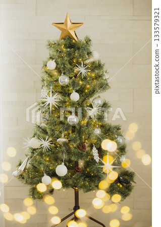 Landscape with Christmas tree 133579321